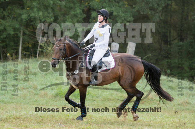 Vielseitigkeitsturnier RSV St. Hubertus Wesel Obrighoven