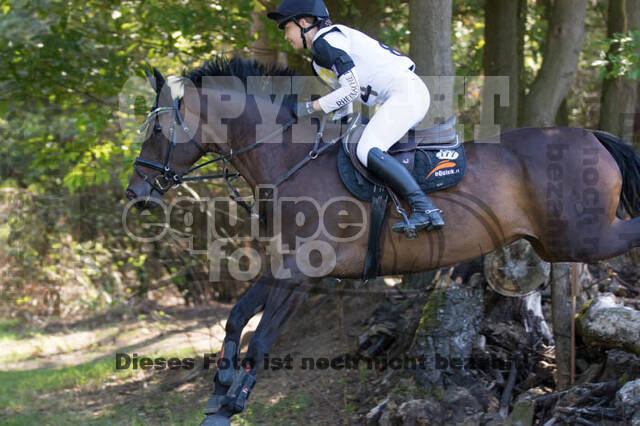 Vielseitigkeitsturnier RSV St. Hubertus Wesel Obrighoven