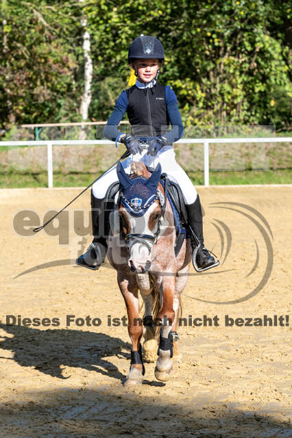 RFV Dinslaken-Hiesfeld (Herbstturnier)