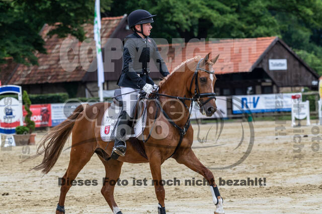 Goldene Schärpe 2021 - Ponys