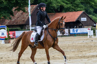 Goldene Schärpe 2021 - Ponys
