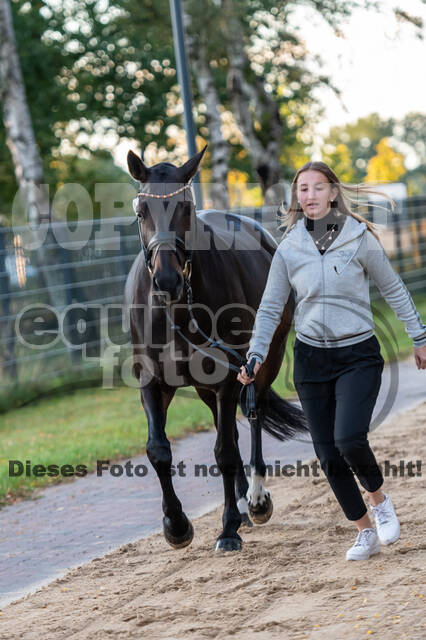 Deutsche Meisterschaft Vielseitigkeit (Luhmühlen)