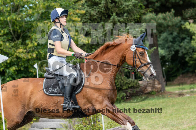 Late-Entry-Vielseitigkeit Langenfeld (11.+13./14.06.2020)