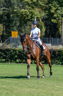 Kronenberg - De Peelbergen (August 2020)