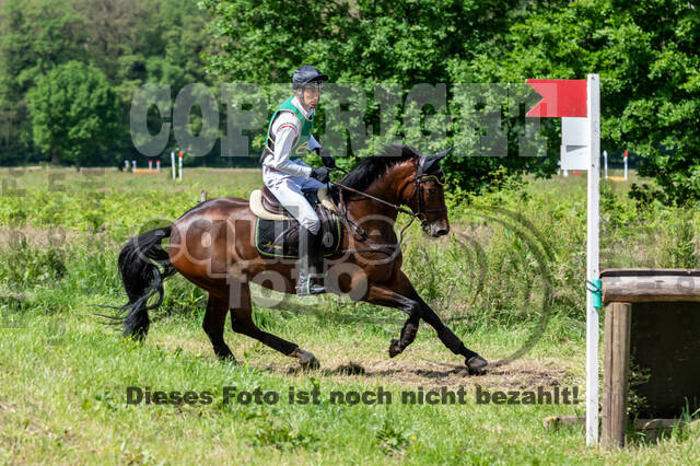 Westerstede Horse Trials (10.-13.06.2021)