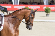 FEI European Championship Eventing 2017