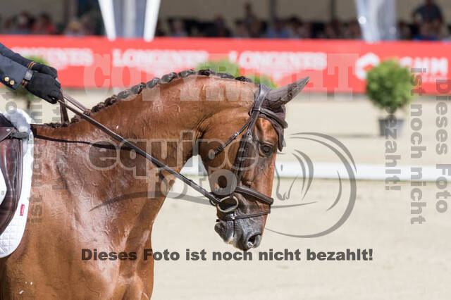 FEI European Championship Eventing 2017