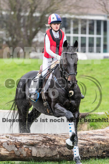 Goldene Schärpe 2020 - Pferde