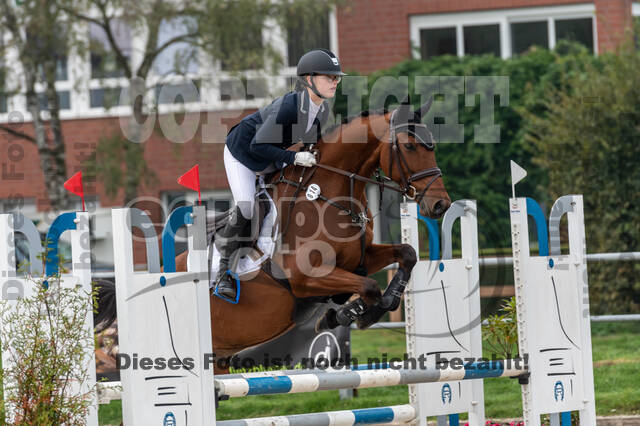 Goldene Schärpe 2020 - Pferde