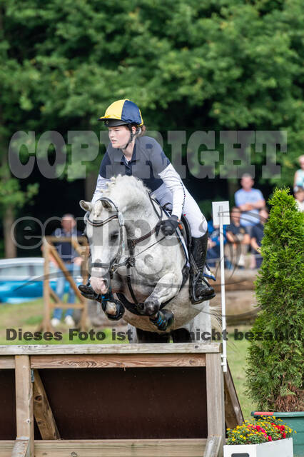 Goldene Schärpe 2021 - Ponys