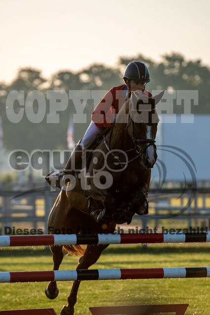 De Peelbergen (August 2020)