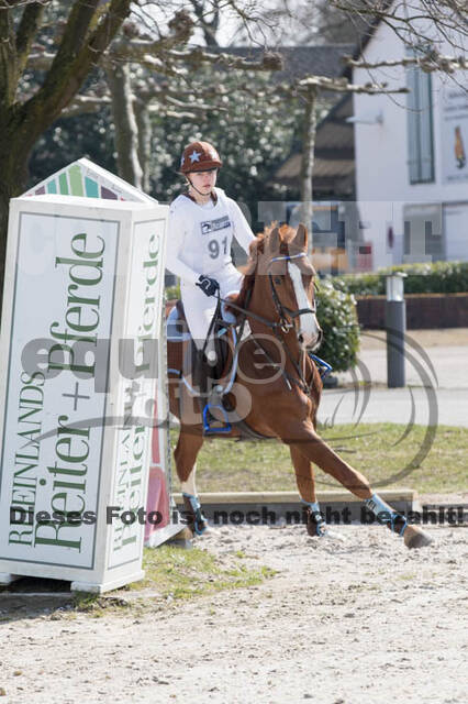 Eventing Langenfeld 2018