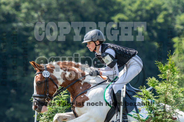 Goldene Schärpe 2021 - Ponys