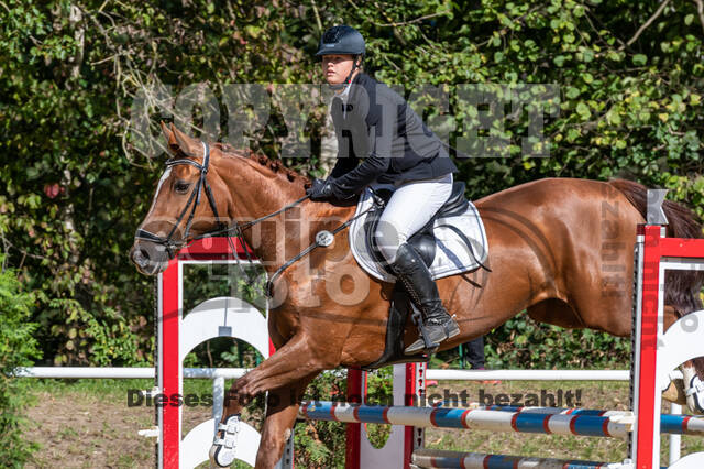 RFV Dinslaken-Hiesfeld (Herbstturnier)