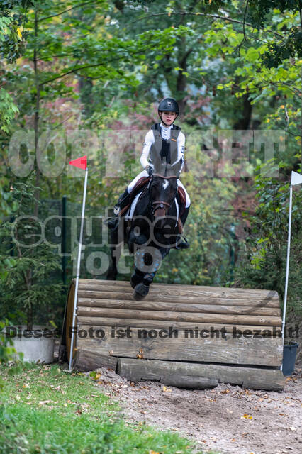 Goldene Schärpe 2020 - Pferde