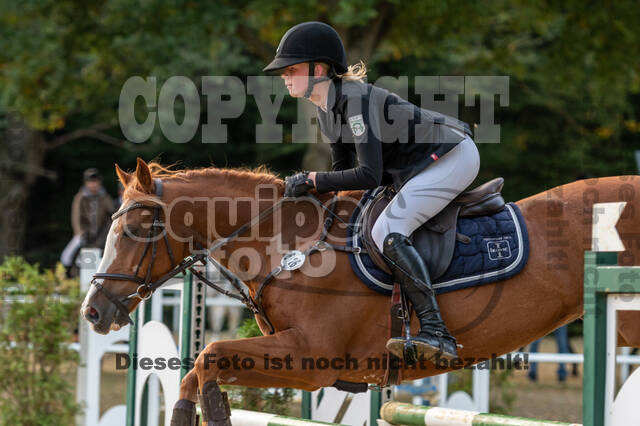 RFV Dinslaken-Hiesfeld (Herbstturnier)
