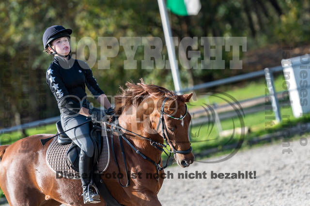 IGV Lehrgang der Sieger der Cups mit Frank Ostholt