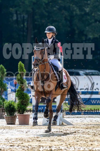 Goldene Schärpe 2021 - Ponys