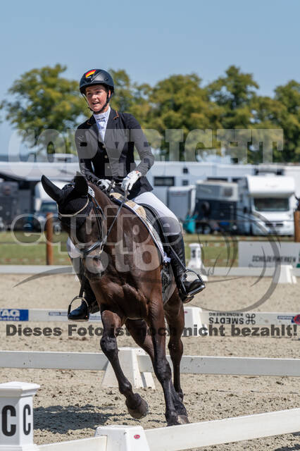 Kronenberg - De Peelbergen (August 2020)