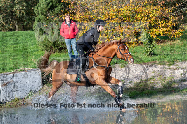 IGV Lehrgang der Sieger der Cups mit Frank Ostholt