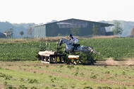 IGV Kleve