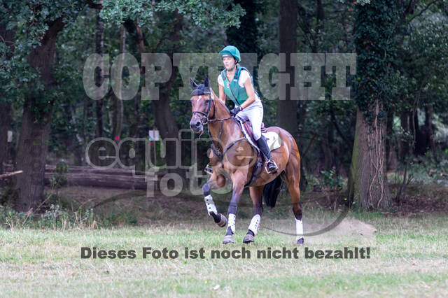 Late-Entry Vielseitigkeit Hamminkeln/Wesel (01.+02.08.2020)