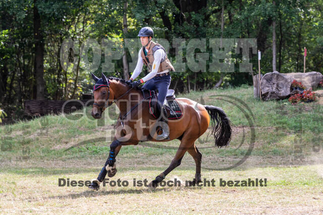 Late-Entry Vielseitigkeit Hamminkeln/Wesel (01.+02.08.2020)