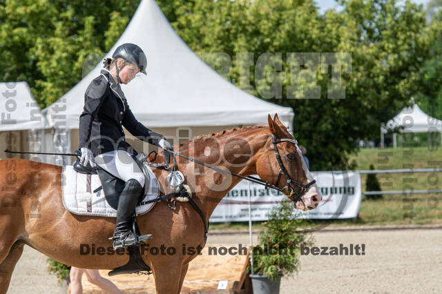 Landesturnier Rheinland, Vielseitigkeit, 22.+23.08.2020