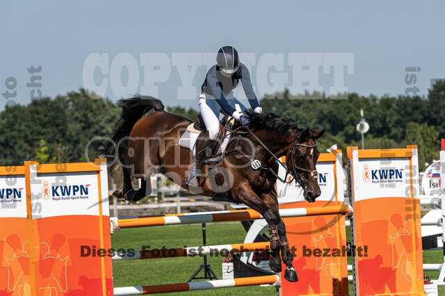 Kronenberg - De Peelbergen (August 2020)