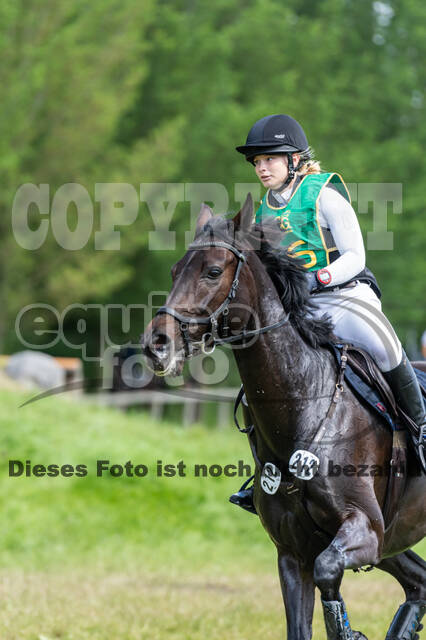 Westerstede Horse Trials (10.-13.06.2021)