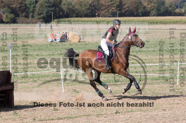 IGV Kleve