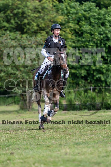 Goldene Schärpe 2021 - Ponys