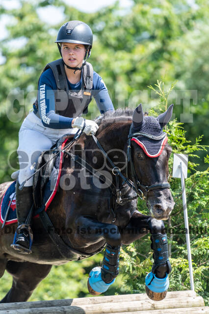 Goldene Schärpe 2021 - Ponys