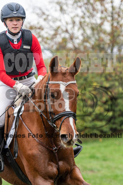 Goldene Schärpe 2020 - Pferde