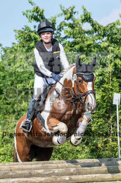 Goldene Schärpe 2021 - Ponys