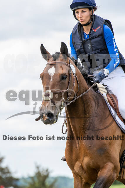 Bonn-Rodderberg Late-Entry-Vielseitigkeit (30.06.2020)