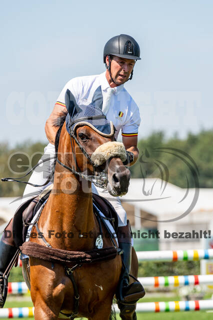 Kronenberg - De Peelbergen (August 2020)