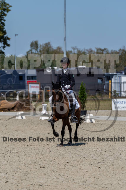 Kronenberg - De Peelbergen (August 2020)