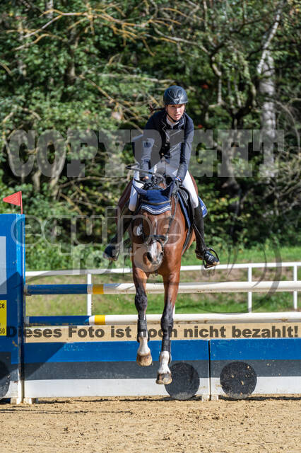 RFV Dinslaken-Hiesfeld (Herbstturnier)