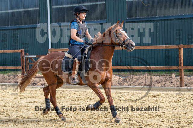 Hunter Geländetraining (16.08.2020)