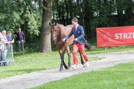 European Championship Eventing 2017