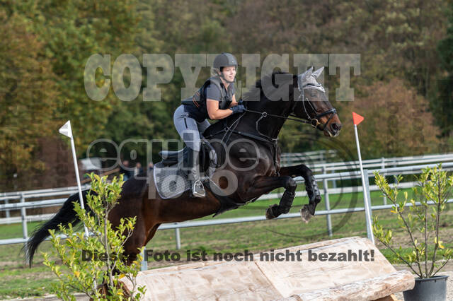 IGV Lehrgang der Sieger der Cups mit Frank Ostholt