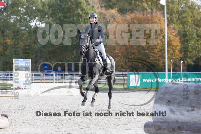 IGV Lehrgang der Sieger der Cups mit Frank Ostholt