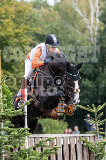 Vielseitigkeit RSV Wesel Obrighoven (26.+27.09.2020)