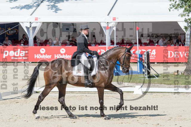 FEI European Championship Eventing 2017