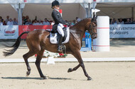 FEI European Championship Eventing 2017