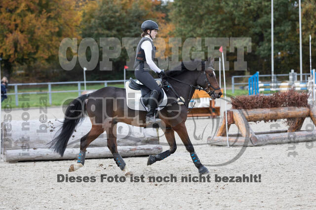 IGV Lehrgang der Sieger der Cups mit Frank Ostholt