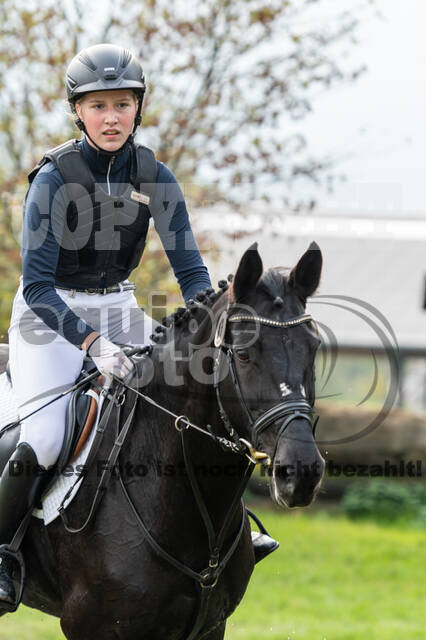 Goldene Schärpe 2020 - Pferde