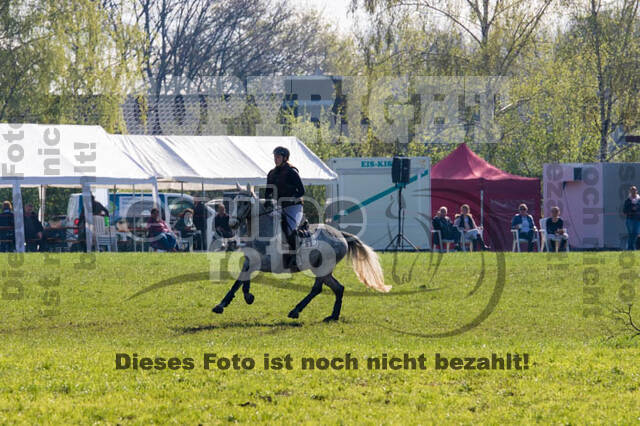 Vielseitigkeitsturnier RV Lippe-Bruch-Gahlen