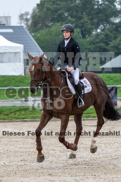 Goldene Schärpe 2020 - Pferde